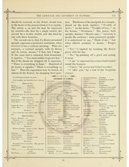 Victorian Language of Flowers Booklet – 6 Page Antique Floral Meanings Print Set