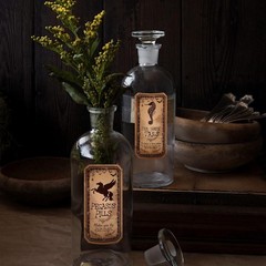 80 Pcs Creepy Apothecary Bottle Labels Animal Medicine Bottle Stickers Potions L