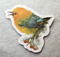 PRETTY BIRDS VINYL STICKERS diy for Laptops, Planners, Guitar, Car, mugs, SCUBA,