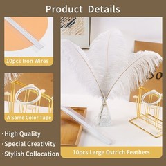 Soarer White Large Ostrich Feathers – 10Pcs 34inch Making Kit Extra Large Ost…