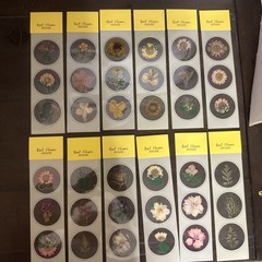 Lot Of 12 REAL Pressed Flowers Stickers Vintage Victorias Garden Scrapbook-36