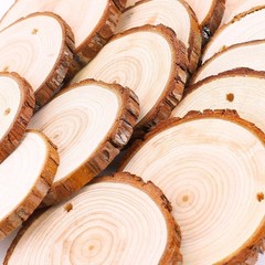 Unfinished Natural Wood Slices 20 Pcs 3.5-4 Inch Wood Coaster Sets Pieces Cra…