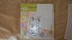 Daisy Hill Newborn Baby Cardstock Stickers Scrapbook Embellishments Paper Crafts