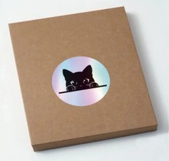 500 pcs Sticker Roll Cute Black Cat Eyes Holographic Laser Cartoon Self Adhesive