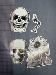4 Sticker Set Black and White Line Art Skulls Flowers By Julie de Graag Skeleton