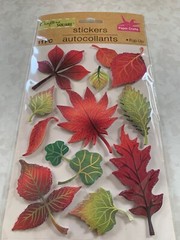 ADHESIVE COLORFUL THICK FALL LEAF SHAPES FALL LEAVES VARIOUS SIZES 3D 11pcs #3