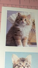 Vintage American Greetings Stickers Cats Kittens 1 Sheet READ