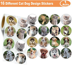 600 Puppy and Kitten Stickers 1.5 Inch 16 Styles for Kids Birthday Party