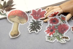 60pc botanical and mushroom Washi stickers | flower die-cut Stickers M02 TZB-L2