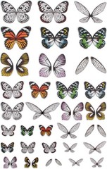 Tim Holtz, Advantus Transparent Wings, white 72 Count
