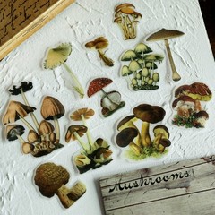 100 pcs Small Mushroom Translucent Vellum Matte Surface Paper Sticker Scrapbook