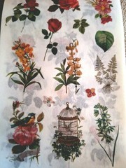 50 Pgs Detailed Beautiful Floral Sticker Book & Eph Paper 22pgs & 375 Stickers