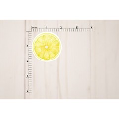 Orange, Lime, and Lemon Stickers | Die Cut, Glossy, Vinyl | Citrus Stickers