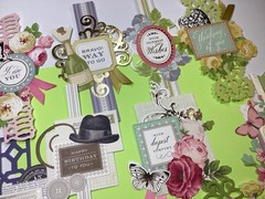 Anna Griffin Charming Card Topper Variety 10 Piece