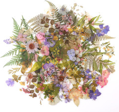160Pcs Pre-Cut Scrapbooks Natural Stickers, Floral and Plant Sticker for DIY Cra
