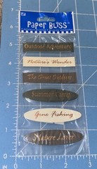 Paper Bliss Adhesive Accents Labels Nature Lover /Fishing / Outdoor/Summer Camp
