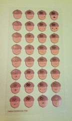 Stickii club kawaii acorns sticker sheet