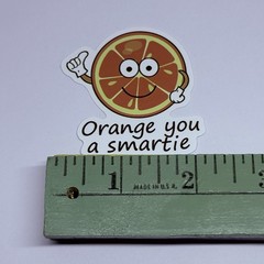Cute Orange Fruit Vinyl Art Sticker School Motivation Kids Matte Decals Tc9