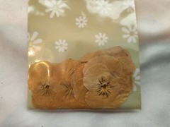 NEVER OPENED- 20yrs OLD! Pressed Petals Flower Confetti Scrapbooking – «Viola»