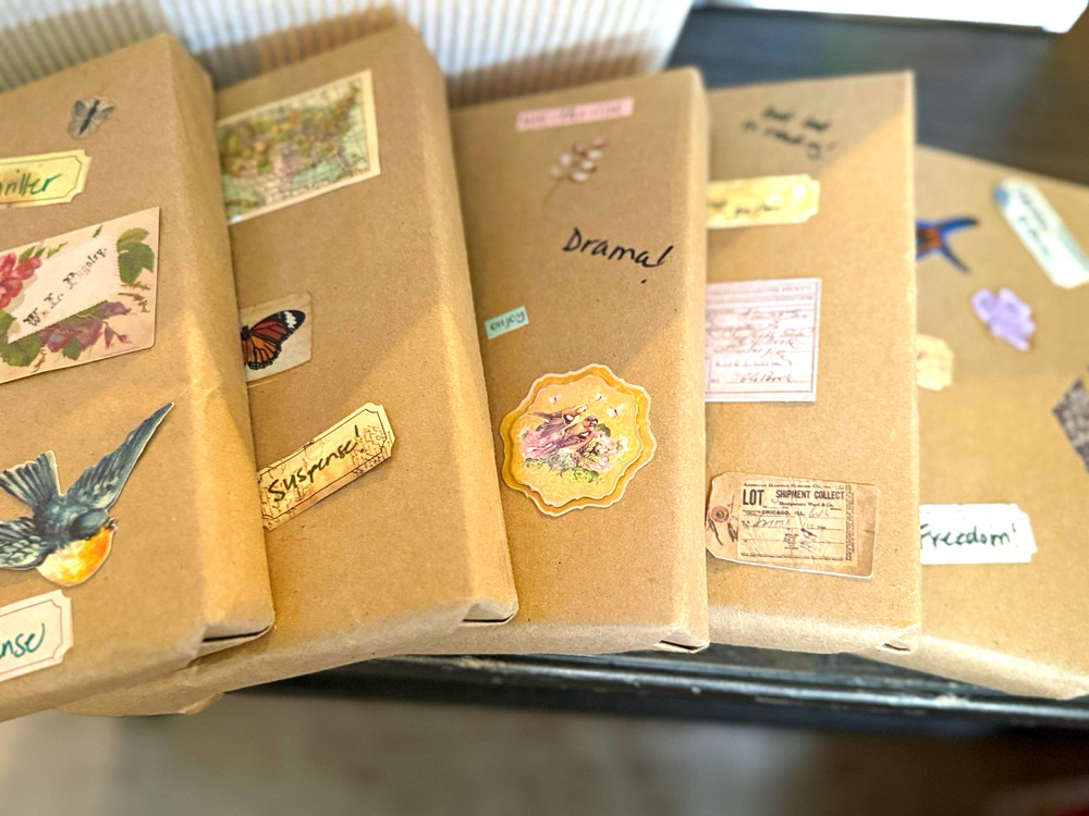 Blind Date with a Book Lot of 5 | New Bestselling Mystery Wrapped Books
