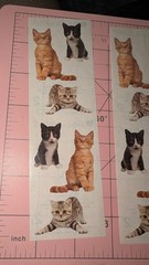Mrs Grossman’s Stickers Adorable Kittens Cats 3 Strips (2 Full/1 Partial)