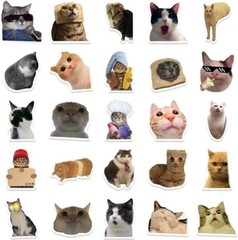 50 Cat Meme Stickers Kitty Faces Cute Cats Decals Laptop Phone Water Bottle