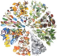 480 Pcs Nature Theme Scrapbook Stickers, Waterproof Flowers & Insects