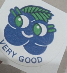 Vintage Matte CTP 77 1977 BLUEBERRY Scratch & Sniff Sticker FLAWED