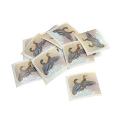Wildlife Animal Scrapbook Craft Stickers Border Collie Pet Wolf Moose Birds Mix