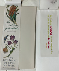 Scrapbook Junk Journal Quotes & Sayings Velum Cut Out Variety Pack – 200+ pieces