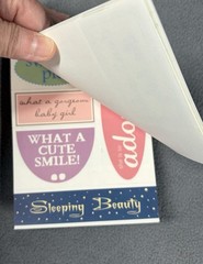 Lot of Baby Girl Scrapbook Stickers Butterfly Flowers Sayings Mixed Brands