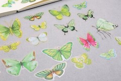 Butterfly sticker | butterflies nature green insect themed PET plastic