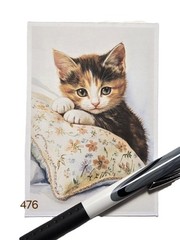 Kitten Journal Cards Set of 8