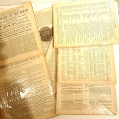 Vintage 1879 Bible Pages 20 Page Paper Packs for Junk Journaling, Scrapbooking,