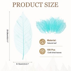 100 Pcs Skeleton Leaves for Scrapbook, 3.5-5.1 Inch, Sky Blue