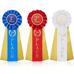 Award Ribbons Rosette Prize Set 1st 2nd 3rd Place 3 Pack