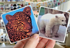 Vintage 80s 90s Sticker Lot: Animals, Smile Makers, Reward, New And Partial READ