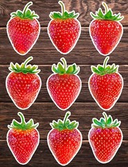 Strawberry Die Cut Vinyl Stickers Set Scrapbooking Laptop Water Bottle