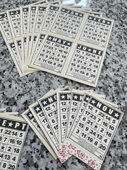 Jenni Bowlin Bingo Cards Calendar Months Scrapbook Paper Trimmed 75 Pc Lot