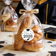 120Pcs Graduation Stickers, 1.6 Inch Self Adhesive Class of 2026 Stickers Label