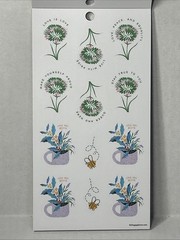Happy Planner 488 Sticker book 30 Sheets Blooming With Pride Gay Love Floral