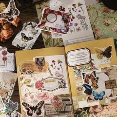260 PCS Vintage Scrapbooking Supplies Aesthetic Journaling Kit,Large Collection