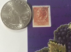 GRAPEVINE 3-D Dimensional FRAME(7pc)The Paper Studio Leaves•Grapes•Stamps•Nature
