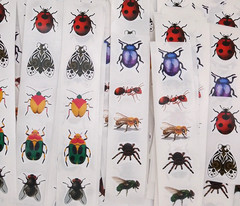 30 Bug/Insect Stickers/Scrapbooking/Planners/Crafts/Journals/1 inch