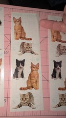 Mrs Grossman’s Stickers Adorable Kittens Cats 3 Strips (2 Full/1 Partial)