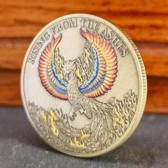 Phoenix Rising Lucky Coin Serenity Prayer Sobriety Coin Sober Gifts for Men or W