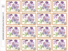 MISSOURI STATE BUTTERFLY – THE MARINE BLUE – 12 PER SHEET