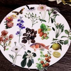 50pcs/Pack leaves stickers leaf plant and animal vellum stickers T03