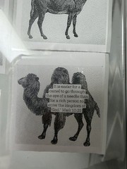Scripture Animal Stickers