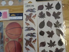 Big Lot DIY Scrapbooking Stickers Great Variety Lots Mixed Themes